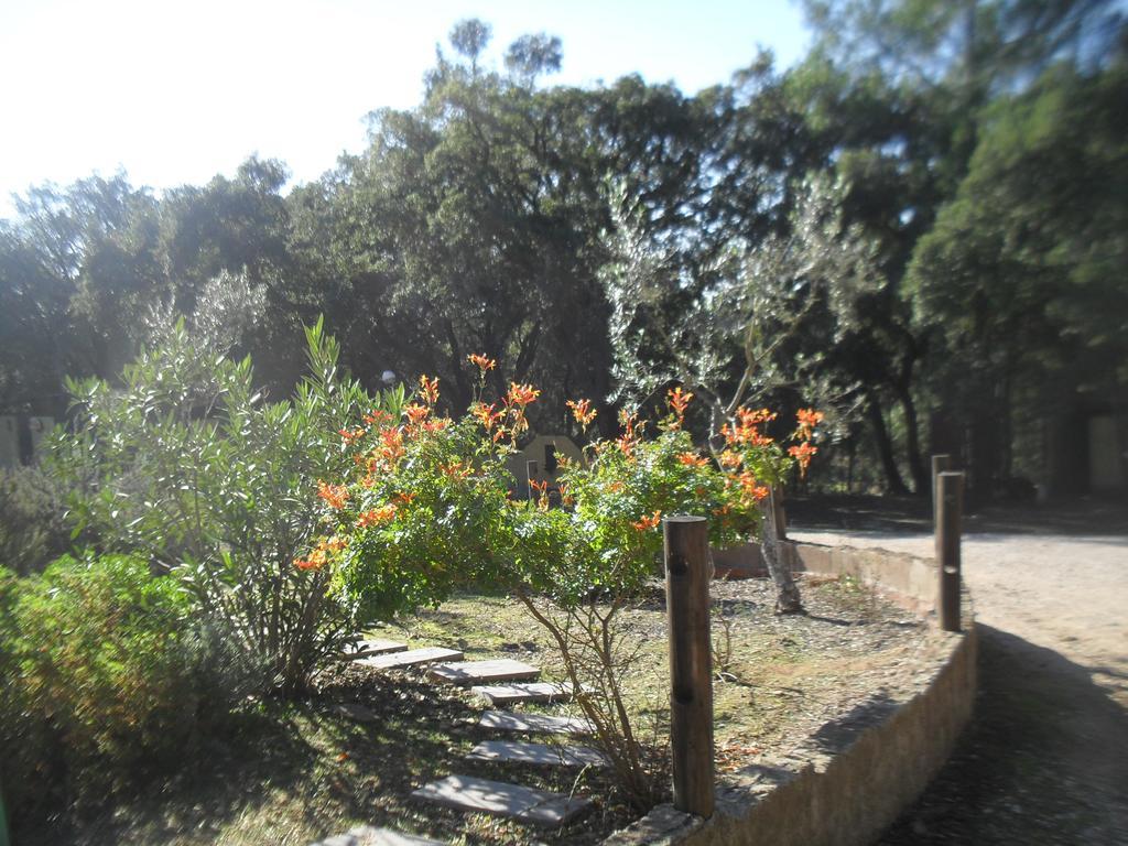 Quinta Do Outeiro Alto Villa ก็องสตังเซีย ภายนอก รูปภาพ