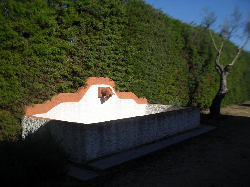 Quinta Do Outeiro Alto Villa ก็องสตังเซีย ภายนอก รูปภาพ