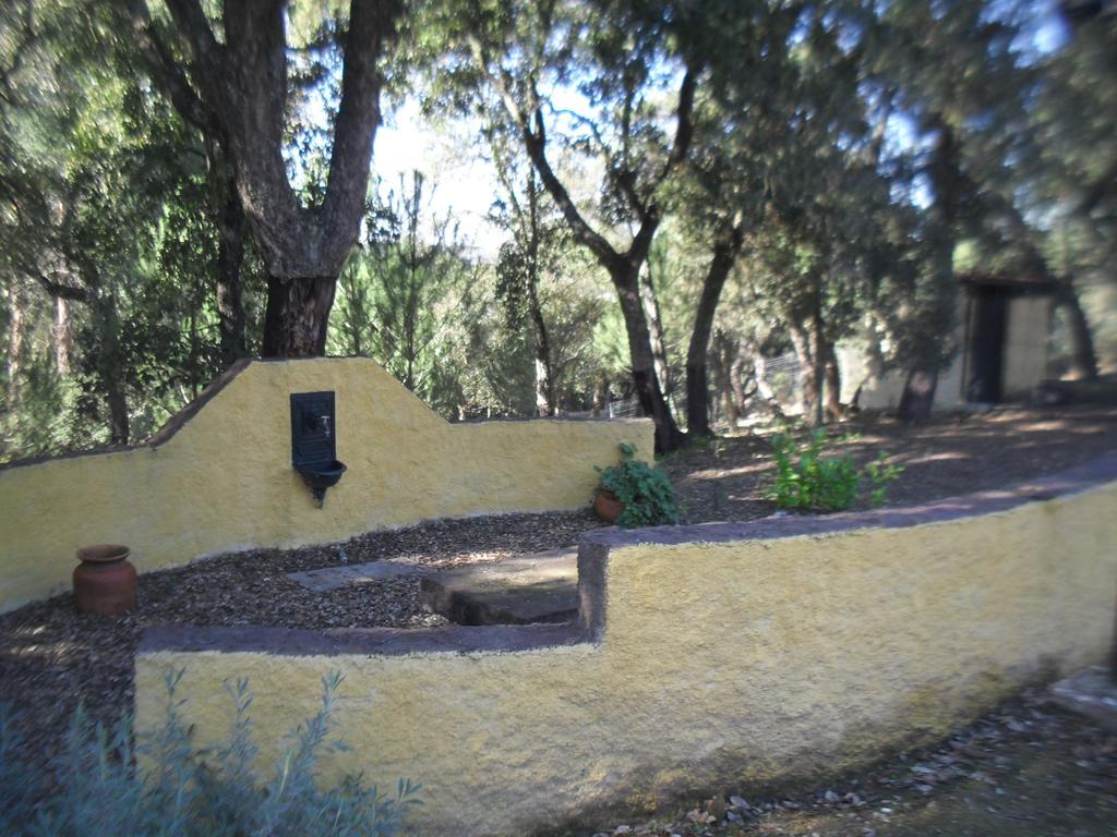 Quinta Do Outeiro Alto Villa ก็องสตังเซีย ภายนอก รูปภาพ