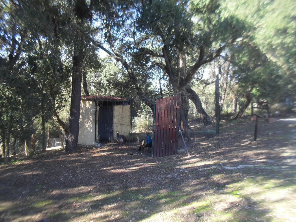 Quinta Do Outeiro Alto Villa ก็องสตังเซีย ภายนอก รูปภาพ