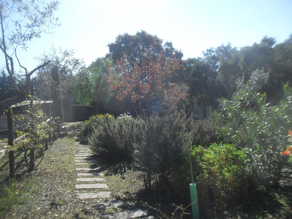 Quinta Do Outeiro Alto Villa ก็องสตังเซีย ภายนอก รูปภาพ