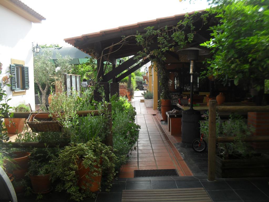 Quinta Do Outeiro Alto Villa ก็องสตังเซีย ภายนอก รูปภาพ