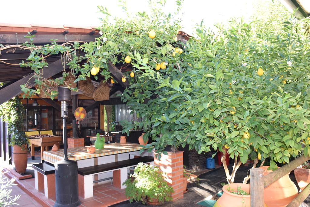 Quinta Do Outeiro Alto Villa ก็องสตังเซีย ภายนอก รูปภาพ