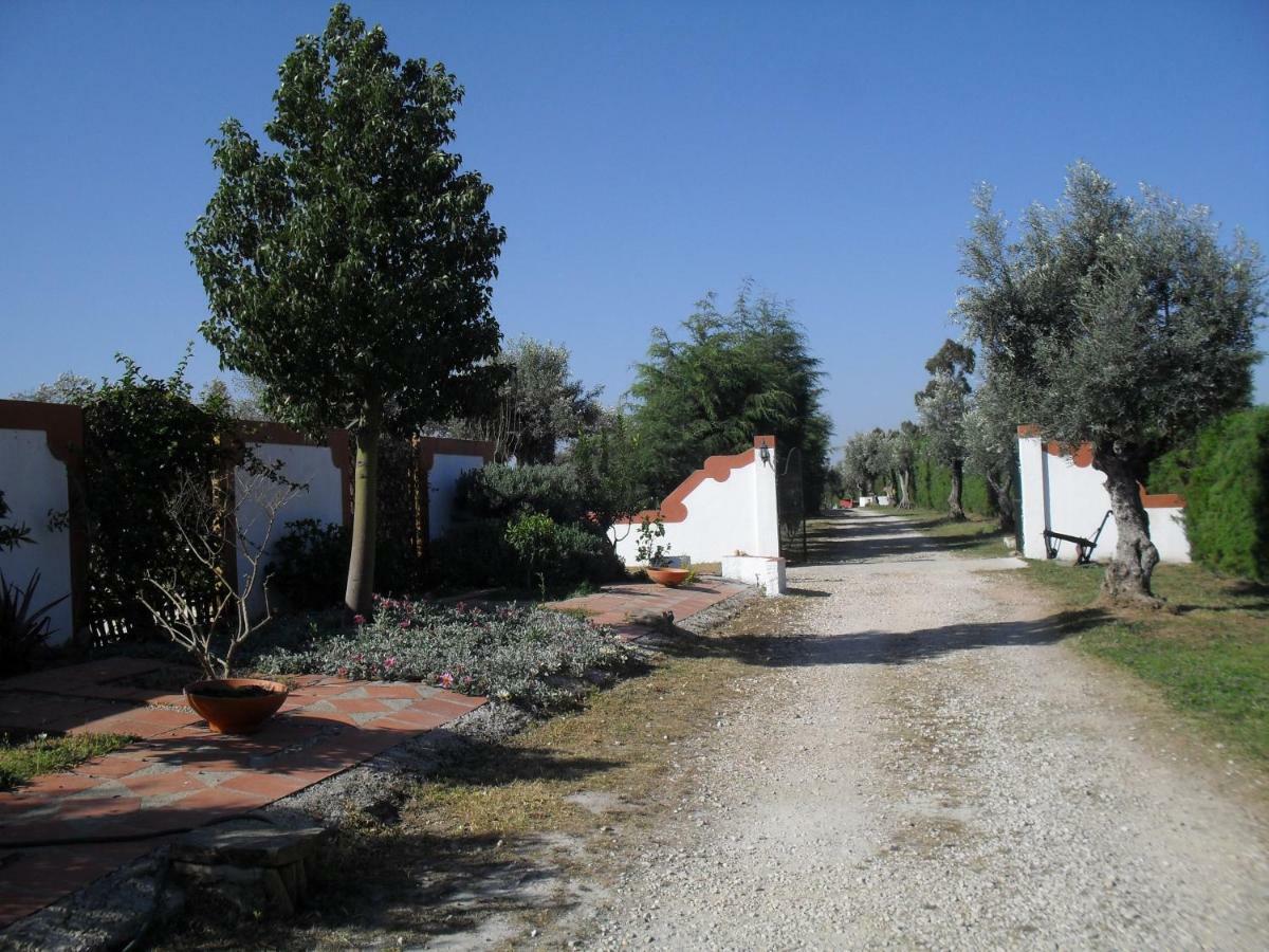 Quinta Do Outeiro Alto Villa ก็องสตังเซีย ภายนอก รูปภาพ